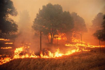 The Wildfire Challenge Latest Science News And Articles Discovery