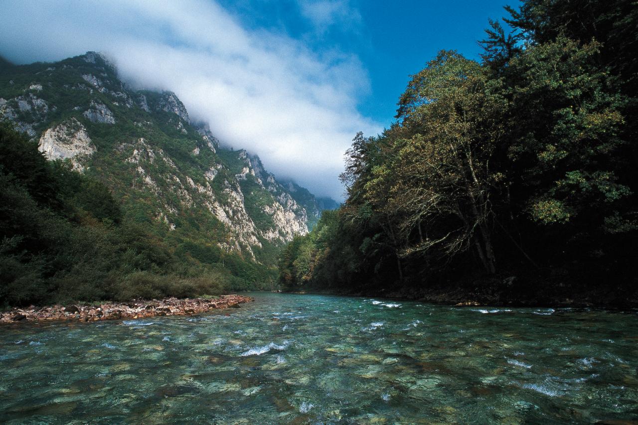 Very Pretty River America's Most Beautiful Rivers | Loveexploring.com