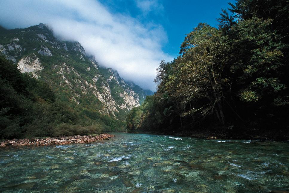 Tara River, Montenegro