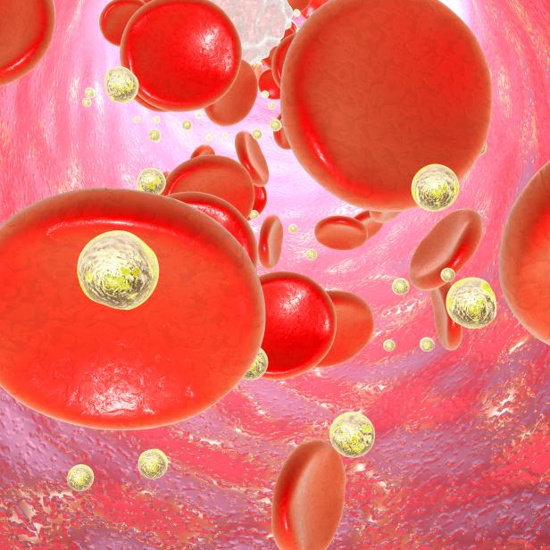 Nanoparticles in blood. Conceptual image demonstrating a potential application of nanotechnology for diagnosis and treatment of diseases.
