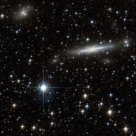 A busy patch of the Great Attractor