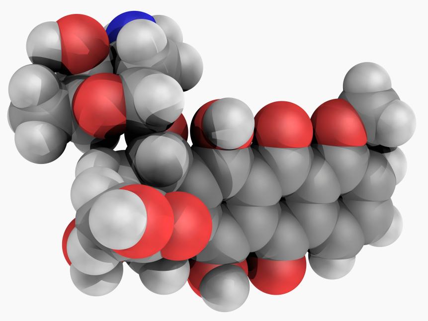 Doxorubicin, molecular model. Drug used in the chemotherapy of a wide range of cancers. Atoms are represented as spheres and are colour-coded: carbon (grey), hydrogen (white), nitrogen (blue) and oxygen (red).