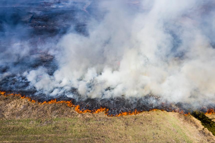 Aerial view of wildfire on field from hot weather, natural disaster accident, burning forest and huge clouds of smoke, drone shot