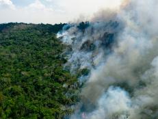 Brazil’s President Jair Bolsonaro could face international criminal charges in the Hague over his part in the destruction of the country’s Amazon rainforest.