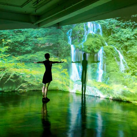 Girl looking at a nature landscape being projected onto the wall in a gallery space