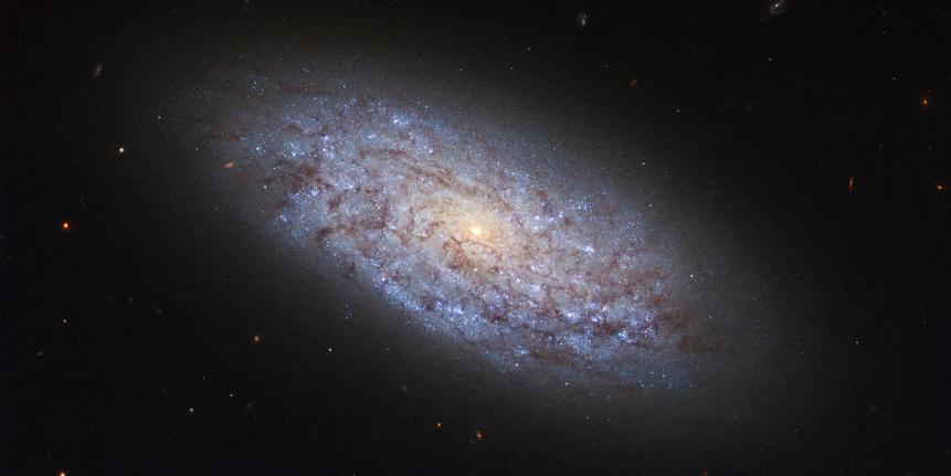 The subject of this NASA/ESA Hubble Space Telescope image is a dwarf galaxy named NGC 5949. Thanks to its proximity to Earth — it sits at a distance of around 44 million light-years from us, placing it within the Milky Way’s cosmic neighbourhood — NGC 5949 is a perfect target for astronomers to study dwarf galaxies. With a mass of about a hundredth that of the Milky Way, NGC 5949 is a relatively bulky example of a dwarf galaxy. Its classification as a dwarf is due to its relatively small number of constituent stars, but the galaxy’s loosely-bound spiral arms also place it in the category of barred spirals. This structure is just visible in this image, which shows the galaxy as a bright yet ill-defined pinwheel. Despite its small proportions, NGC 5949’s proximity has meant that its light can be picked up by fairly small telescopes, something that facilitated its discovery by the astronomer William Herschel in 1801.  Astronomers have run into several cosmological quandaries when it comes to dwarf galaxies like NGC 5949. For example, the distribution of dark matter within dwarfs is quite puzzling (the “cuspy halo” problem), and our simulations of the Universe predict that there should be many more dwarf galaxies than we see around us (the “missing satellites” problem).