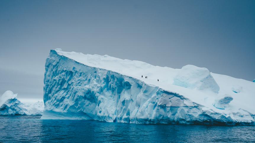 AdÃ©lie penguins in Antarctica on top of iceberg