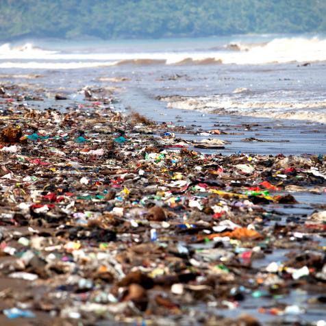 Polluted shore covered in washed up garbage.