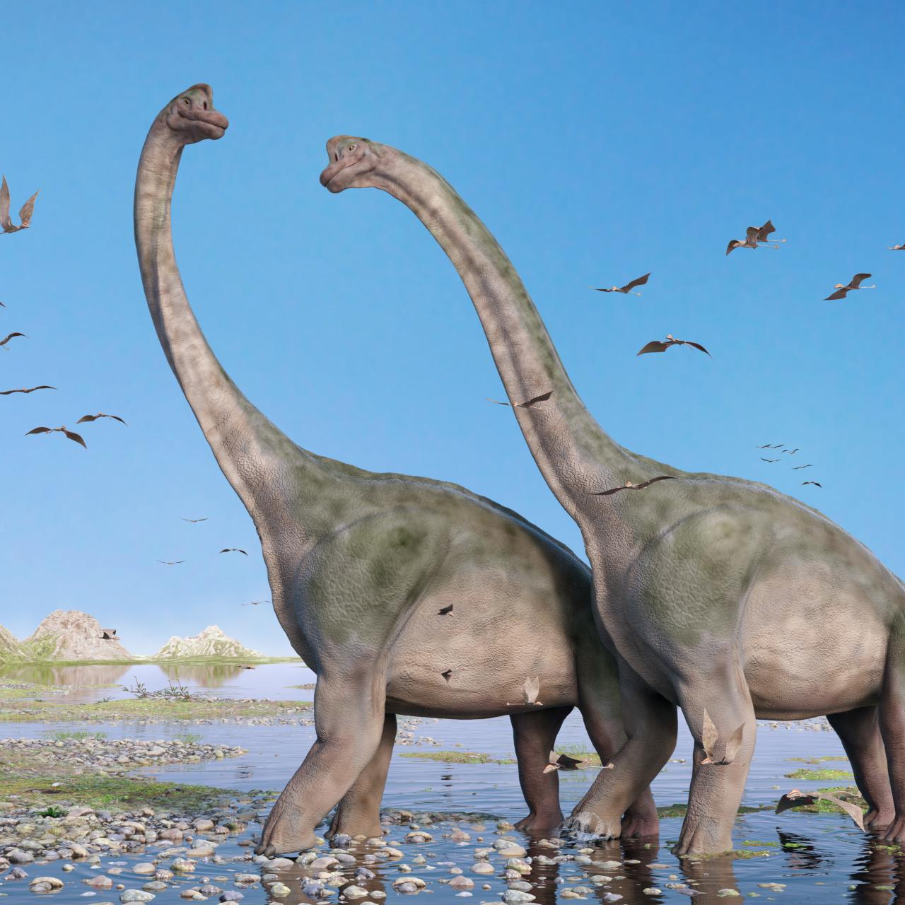 2 New Species Of Dinosaurs Found In Northwest China
