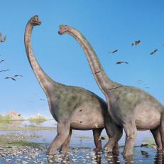 pair of giant sauropods walking through water and a swarm of flying pterosaurs