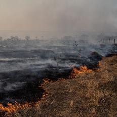 Pay close attention to weather and drought conditions as these factors affect the flammability of vegetation. If it’s hot, dry and windy, steer clear of any activities that involve fire or sparks, such as fireworks, burning debris, off-roading on dry grass, and operating equipment in dry areas — as well, of course, as building a campfire.