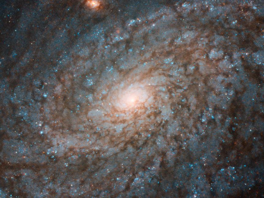This Picture of the Week, taken by the NASA/ESA Hubble Space Telescope, shows the galaxy NGC 4237. Located about 60 million light-years from Earth in the constellation of Coma Berenices (Berenice's Hair), NGC 4237 is classified as a flocculent spiral galaxy. This means that its spiral arms are not clearly distinguishable from each other, as in grand design spiral galaxies, but are instead patchy and discontinuous. This gives the galaxy a fluffy appearance, somewhat resembling cotton wool. Astronomers studying NGC 4237 were actually more interested in its galactic bulge — its bright central region. By learning more about these bulges, we can explore how spiral galaxies have evolved, and study the growth of the supermassive black holes that lurk at the centres of most spirals. There are indications that the mass of the black hole at the centre of a galaxy is related to the mass of its bulge. However, this connection is still uncertain, and why these two components should be so strongly correlated is still a mystery — one that astronomers hope to solve by studying galaxies in the nearby Universe, such as NGC 4237.