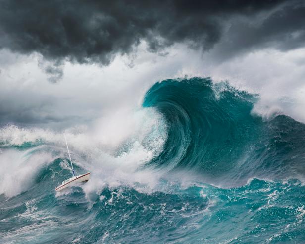 Birds Can Predict Tsunamis Latest Science News And Articles Discovery