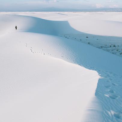 Fossilized Footprints - White Sands National Park (U.S. National