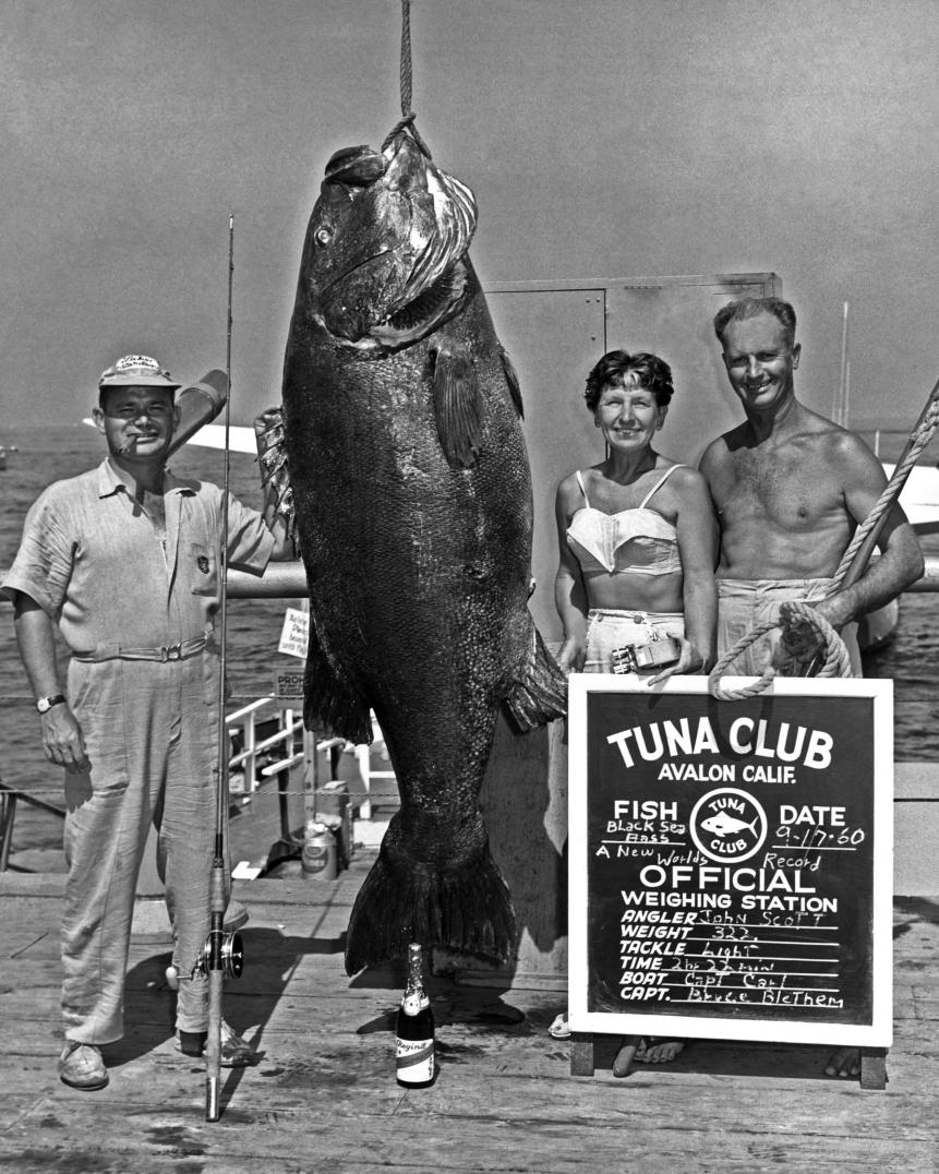AVALON, CALIFORNIA - SEPTEMBER 17, 1960: Two men and a woman stand on a dock next to a 322 pound giant black sea bass caught at the Tuna Club on September 17, 1960 in Avalon, Catalina Island, California.  (Photo by International Game Fish Association via Getty Images)