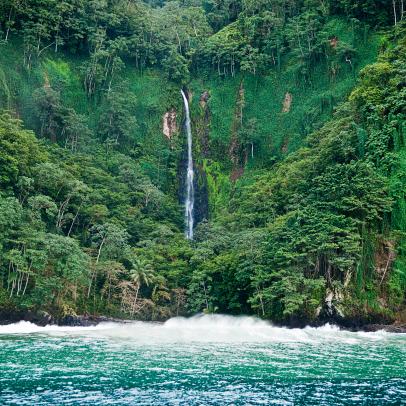 Costa Rica's Protected 'Shark Island' Will Save Thousands of Species