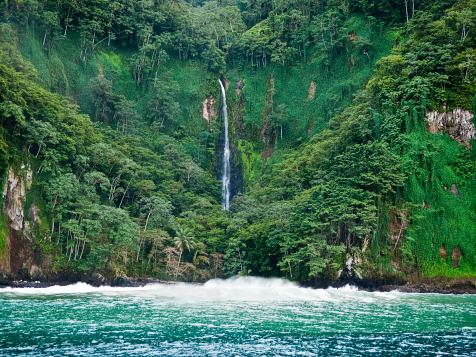 Costa Rica's Protected 'Shark Island' Will Save Thousands of Species