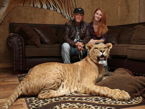 Jeff and Lauren Lowe are Permanently Banned from Exhibiting Animals