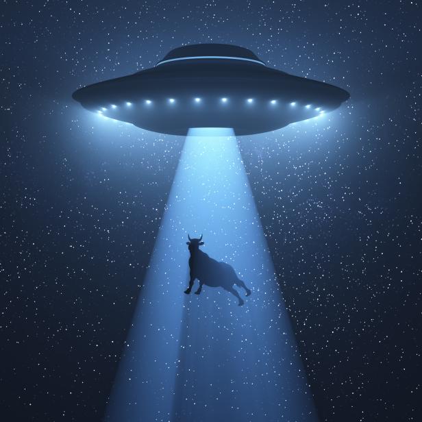 UFO (unidentified flying object) beaming up a cow, illustration.