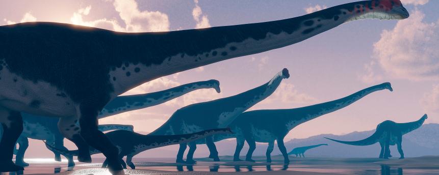 Artwork of a community of titanosaurs. The titanosaurs were a diverse group of sauropod (long-tailed, long-necked) dinosaurs that lived throughout the Mesozoic era. They were the last surviving sauropods, before being wiped out in the mass extinction at the end of the Cretaceous period. The group includes the largest animals ever known to have walked the Earth, with lengths of 30-40 metres and weights up to several dozen tonnes. The largest known among these animals are argentinosaurus and dreadnoughtus, from what is now Argentina, although their remains are very sparse.