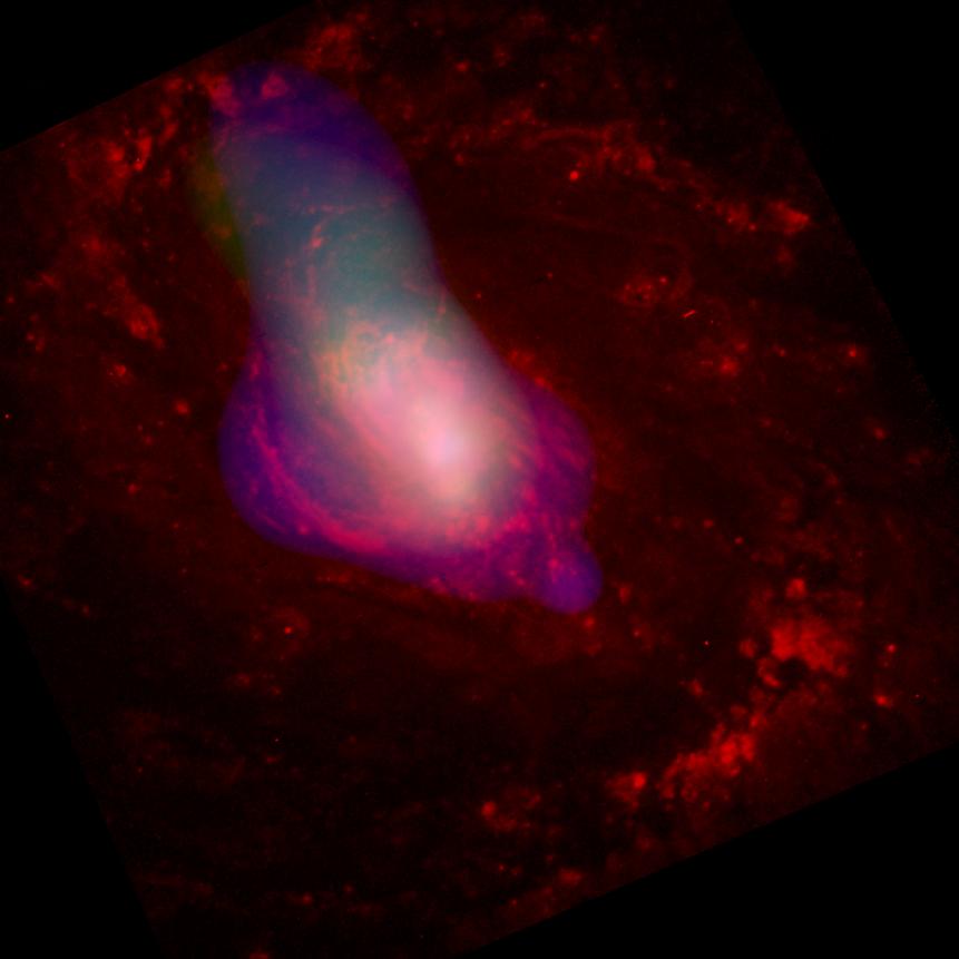 A composite Chandra X-ray (blue/green) and Hubble optical (red) image of NGC 1068 shows hot gas blowing away from a central supermassive black hole at speeds averaging about 1 million miles per hour. The elongated shape of the gas cloud is thought to be due to the funneling effect of a torus, or doughnut-shaped cloud, of cool gas and dust that surrounds the black hole. The X-rays are scattered and reflected X-rays that are probably coming from a hidden disk of hot gas formed as matter swirls very near the black hole. Regions of intense star formation in the inner spiral arms of the galaxy are highlighted by the optical emission.