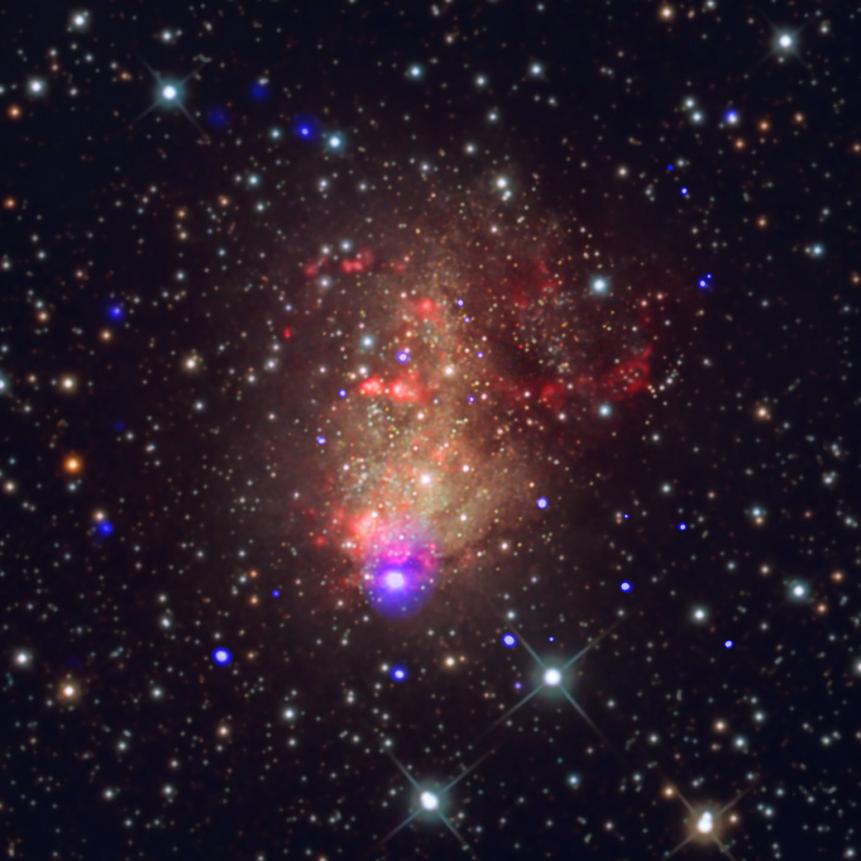 In 1887, American astronomer Lewis Swift discovered a glowing cloud, or nebula, that turned out to be a small galaxy about 2.2 million light years from Earth. Today, it is known as the “starburst” galaxy IC 10, referring to the intense star formation activity occurring there.      More than a hundred years after Swift’s discovery, astronomers are studying IC 10 with the most powerful telescopes of the 21st century. New observations with NASA’s Chandra X-ray Observatory reveal many pairs of stars that may one day become sources of perhaps the most exciting cosmic phenomenon observed in recent years: gravitational waves.    By analyzing Chandra observations of IC 10 spanning a decade, astronomers found over a dozen black holes and neutron stars feeding off gas from young, massive stellar companions. Such double star systems are known as “X-ray binaries” because they emit large amounts of X-ray light. As a massive star orbits around its compact companion, either a black hole or neutron star, material can be pulled away from the giant star to form a disk of material around the compact object. Frictional forces heat the infalling material to millions of degrees, producing a bright X-ray source.     When the massive companion star runs out fuel, it will undergo a catastrophic collapse that will produce a supernova explosion, and leave behind a black hole or neutron star. The end result is two compact objects: either a pair of black holes, a pair of neutron stars, or a black hole and neutron star. If the separation between the compact objects becomes small enough as time passes, they will produce gravitational waves. Over time, the size of their orbit will shrink until they merge. LIGO has found three examples of black hole pairs merging in this way in the past two years.    Starburst galaxies like IC 10 are excellent places to search for X-ray binaries because they are churning out stars rapidly. Many of these newly born stars will be pairs of young and massive stars. The most massive of the pair will evolve more quickly and leave behind a black hole or a neutron star partnered with the remaining massive star. If the separation of the stars is small enough, an X-ray binary system will be produced.     This new composite image of IC 10 combines X-ray data from Chandra (blue) with an optical image (red, green, blue) taken by amateur astronomer Bill Snyder from the Heavens Mirror Observatory in Sierra Nevada, California. The X-ray sources detected by Chandra appear as a darker blue than the stars detected in optical light.    The young stars in IC 10 appear to be just the right age to give a maximum amount of interaction between the massive stars and their compact companions, producing the most X-ray sources. If the systems were younger, then the massive stars would not have had time to go supernova and produce a neutron star or black hole, or the orbit of the massive star and the compact object would not have had time to shrink enough for mass transfer to begin. If the star system were much older, then both compact objects would probably have already formed. In this case transfer of matter between the compact objects is unlikely, preventing the formation of an X-ray emitting disk.    Chandra detected 110 X-ray sources in IC 10. Of these, over forty are also seen in optical light and 16 of these contain “blue supergiants”, which are the type of young, massive, hot stars described earlier. Most of the other sources are X-ray binaries containing less massive stars. Several of the objects show strong variability in their X-ray output, indicative of violent interactions between the compact stars and their companions.   A pair of papers describing these results were published in the February 10th, 2017 issue of The Astrophysical Journal and is available online here and here. The authors of the study are Silas Laycock from the UMass Lowell’s Center for Space Science and Technology (UML); Rigel Capallo, a graduate student at UML; Dimitris Christodoulou from UML; Benjamin Williams from the University of Washington in Seattle; Breanna Bin