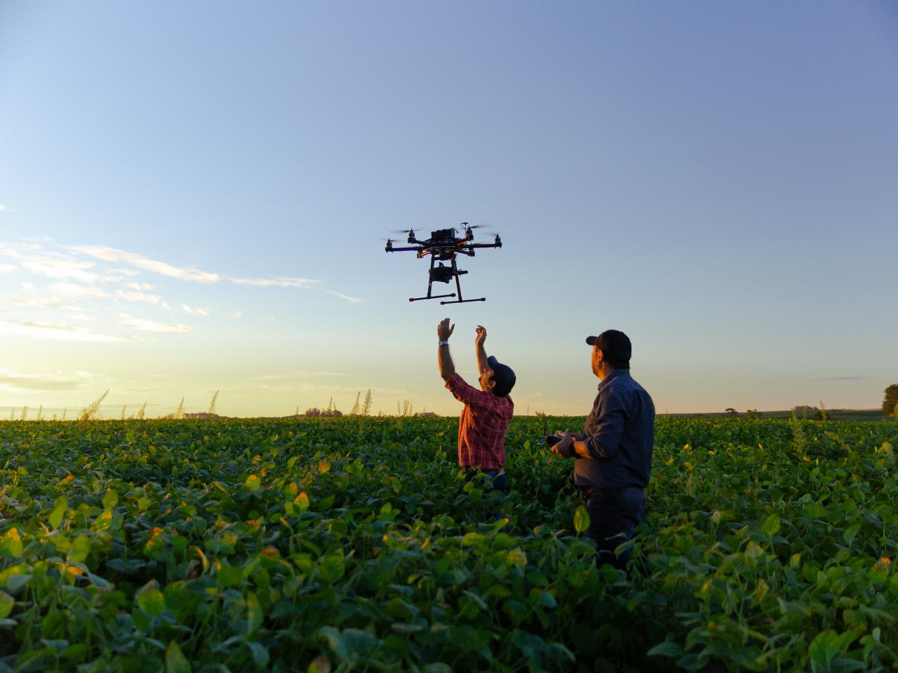 Smart Farming and AI Pest Spotting Boost Food Production, Latest Science  News and Articles
