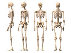 Today, you&rsquo;ll learn about how the human sense of smell may be much better than we ever thought, how the bones inside your body are having interesting conversations with your organs, and a new innovation in desalination technology that uses significantly less energy than its predecessors.