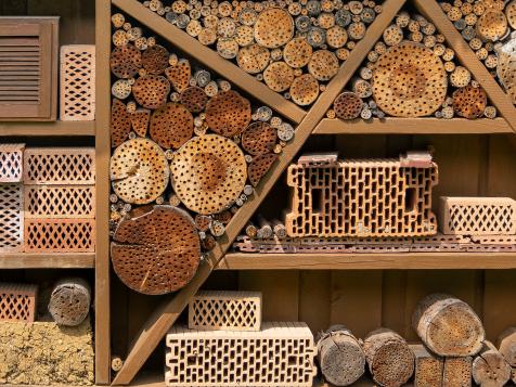 Welcome to the World’s Largest Insect Hotel