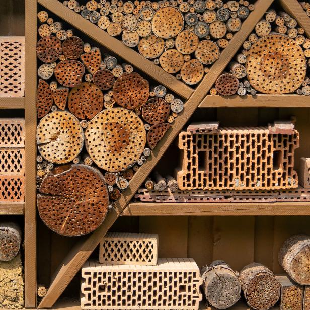 Large wide insect hotel in the shape of a shelf, filled with wood and bricks
