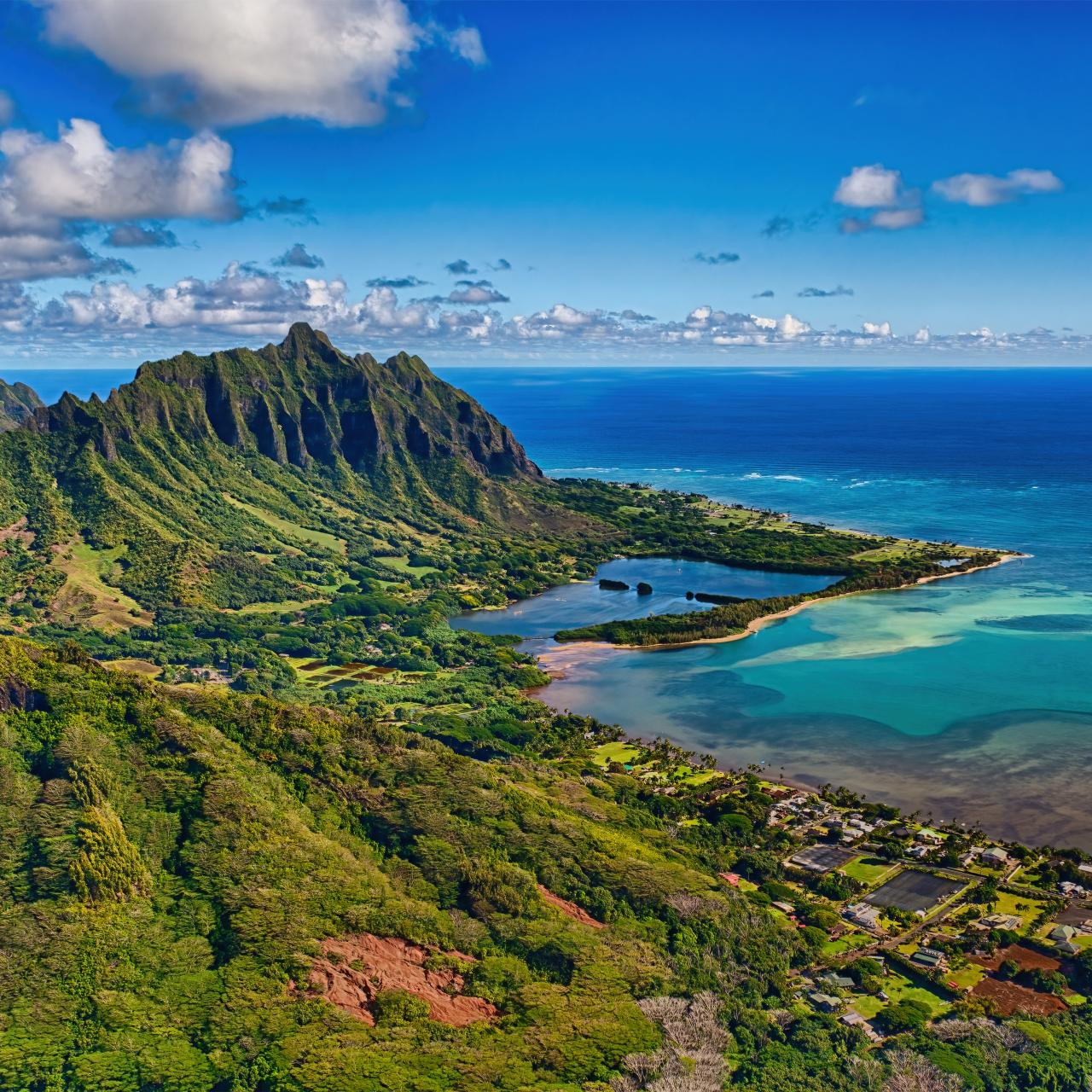 Scientists are Rebuilding Hawaii s Beautiful Native Forests