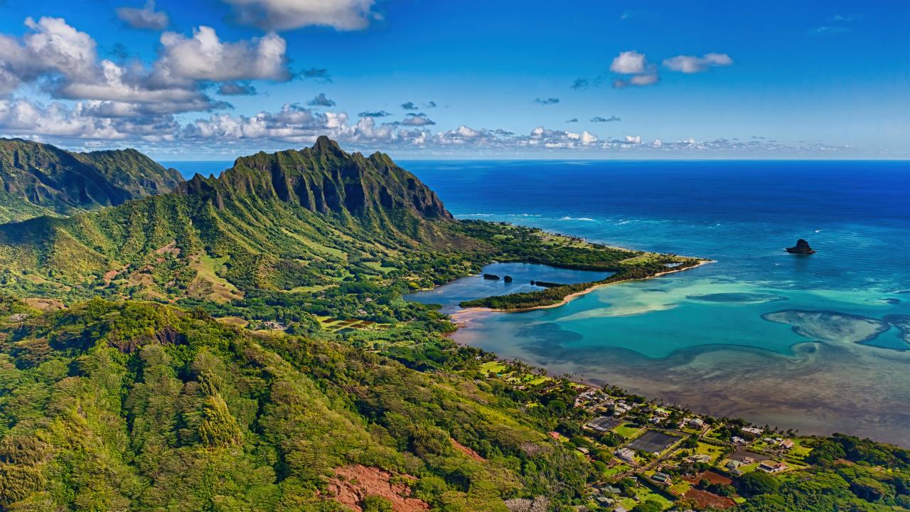 Scientists are Rebuilding Hawaii's Beautiful Native Forests Scientists are Rebuilding Hawaii's Beautiful Native Forests