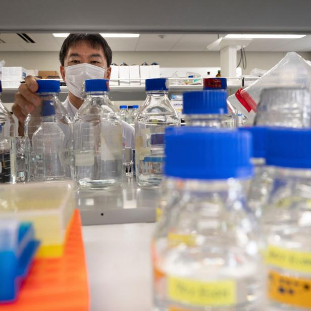 This picture taken on July 30, 2021 by AFPBB News shows immunology professor Toru Miyazaki working in his laboratory at the University of Tokyo. - As the coronavirus pandemic hit the economy last year, scientists at the University of Tokyo lost their corporate funding for a study on preventing kidney disease in cats. But thousands of Japanese cat lovers mobilised online to donate to the researchers after an article about their plight by news agency Jiji Press went viral.
 - Japan OUT / TO GO WITH JAPAN-ANIMAL-SCIENCE-CATS-OFFBEAT  --- RESTRICTED TO EDITORIAL USE - MANDATORY CREDIT - "AFP PHOTO / AFPBB News / Yoko AKIYOSHI" (Photo by Yoko AKIYOSHI / AFPBB News / AFP) / Japan OUT / TO GO WITH JAPAN-ANIMAL-SCIENCE-CATS-OFFBEAT  --- RESTRICTED TO EDITORIAL USE - MANDATORY CREDIT - "AFP PHOTO / AFPBB News / Yoko AKIYOSHI" / Japan OUT / TO GO WITH JAPAN-ANIMAL-SCIENCE-CATS-OFFBEAT  --- RESTRICTED TO EDITORIAL USE - MANDATORY CREDIT - "AFP PHOTO / AFPBB News / Yoko AKIYOSHI" (Photo by YOKO AKIYOSHI/AFPBB News/AFP via Getty Images)