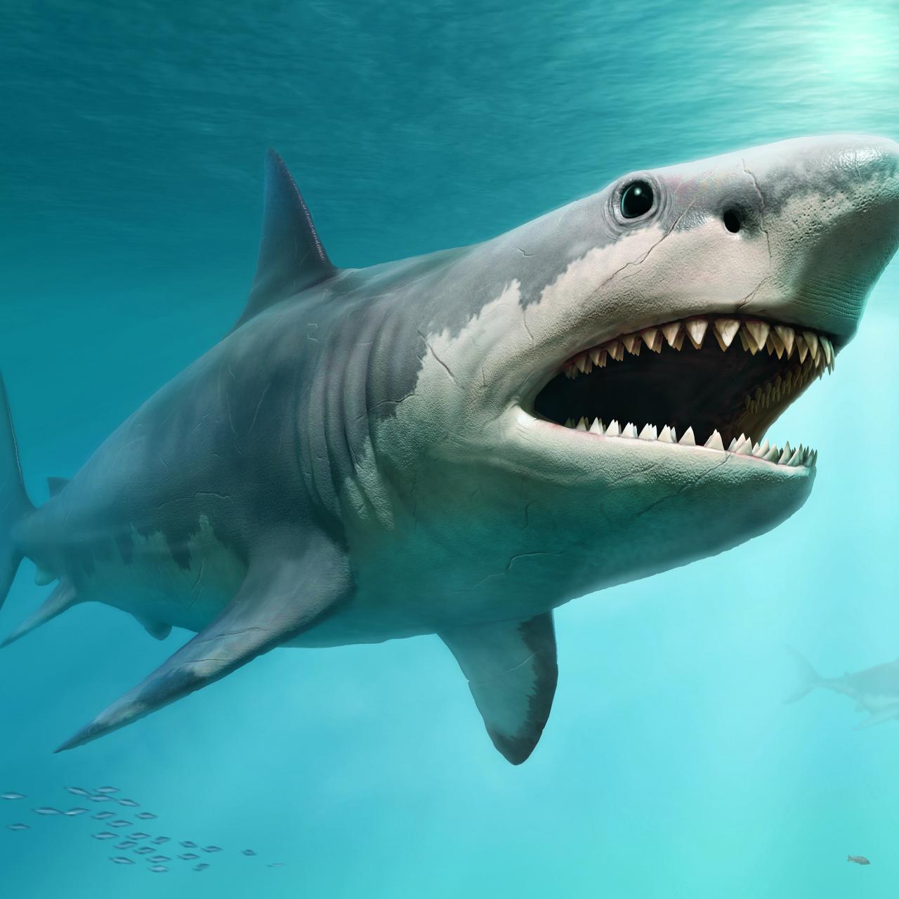 How the great white shark drove the mighty megalodon to extinction