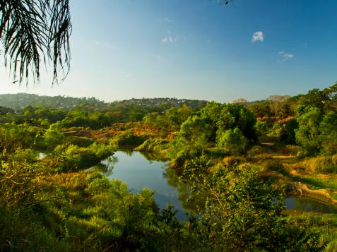 Belize's Jungles are Wild, Mysterious and Full of Discovery