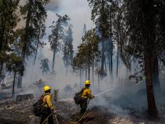 TOPSHOT - Firefighters put out hot spots from the Washburn Fire in Yosemite National Park, California, July 11, 2022. - Hundreds of firefighters scrambled Monday to prevent a wildfire engulfing an area of rare giant sequoia trees in California's Yosemite National Park.
The Washburn fire, in the Mariposa Grove of giant sequoias, was first reported on July 7 and doubled in size over the weekend to 2,340 acres (946 hectares), according to a park report.
Yosemite's fire management service said 545 firefighters were battling the blaze, including "proactively protecting" the grove -- the largest sequoia grove in Yosemite, with over 500 mature trees. (Photo by Nic Coury / AFP) (Photo by NIC COURY/AFP via Getty Images)
