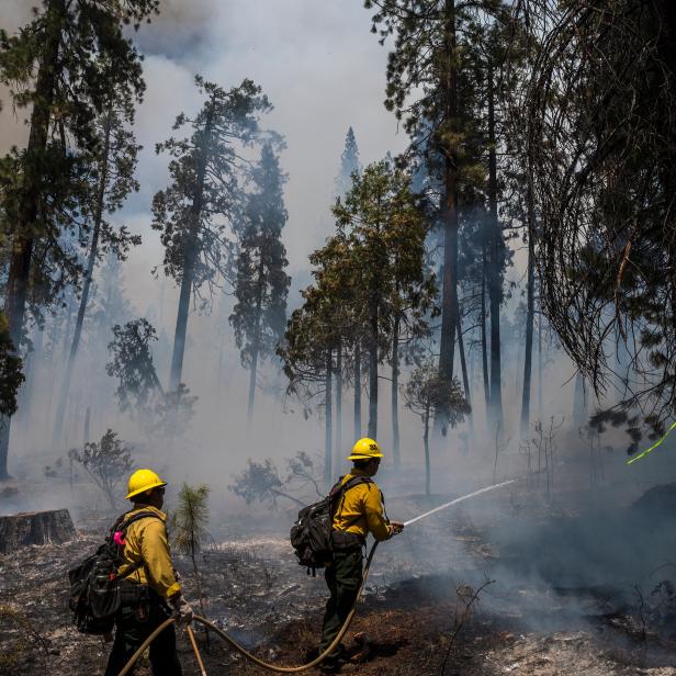 TOPSHOT - Firefighters put out hot spots from the Washburn Fire in Yosemite National Park, California, July 11, 2022. - Hundreds of firefighters scrambled Monday to prevent a wildfire engulfing an area of rare giant sequoia trees in California's Yosemite National Park.
The Washburn fire, in the Mariposa Grove of giant sequoias, was first reported on July 7 and doubled in size over the weekend to 2,340 acres (946 hectares), according to a park report.
Yosemite's fire management service said 545 firefighters were battling the blaze, including "proactively protecting" the grove -- the largest sequoia grove in Yosemite, with over 500 mature trees. (Photo by Nic Coury / AFP) (Photo by NIC COURY/AFP via Getty Images)