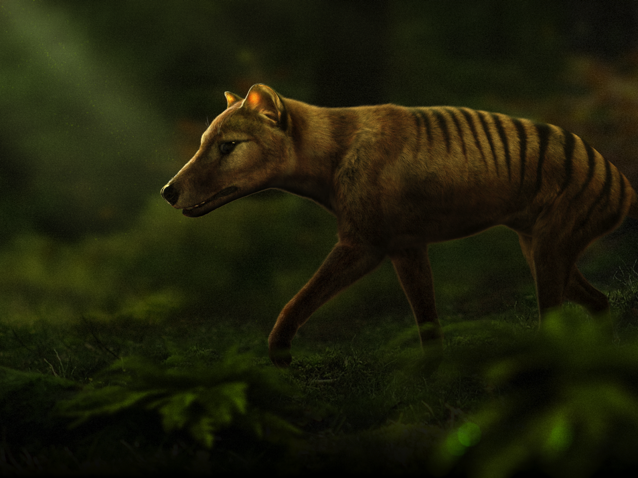 Scientists Are Resurrecting the Tasmanian Tiger from Extinction, Latest  Science News and Articles