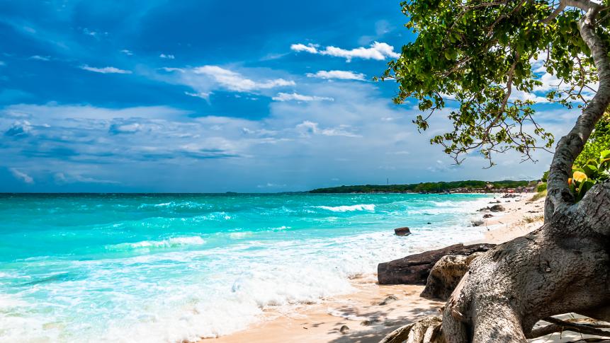 View on paradise beach of playa blanca on Baru island next to Cartagena, Colombia. High quality photo