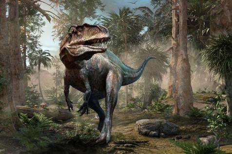 113-Million-Year-Old Dinosaur Tracks Discovered at Dinosaur Valley State  Park in Texas | Latest Science News and Articles | Discovery