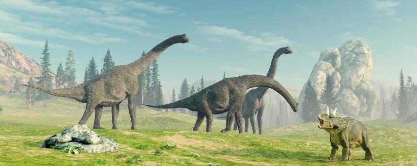 Brachiosaurus species in the nature . This is a 3d render illustration.
