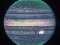NASA’s James Webb Space Telescope captured new images of Jupiter revealing never-before-seen details of the planet.