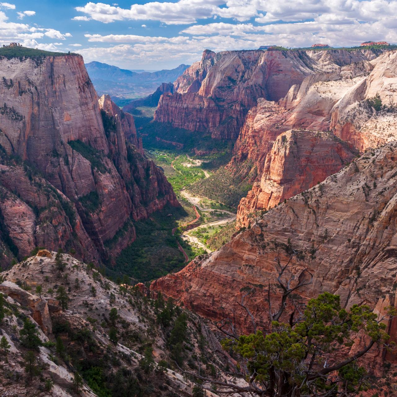 Utahs National Parks DVD, PBS, Arches, Zion, Canyonlands
