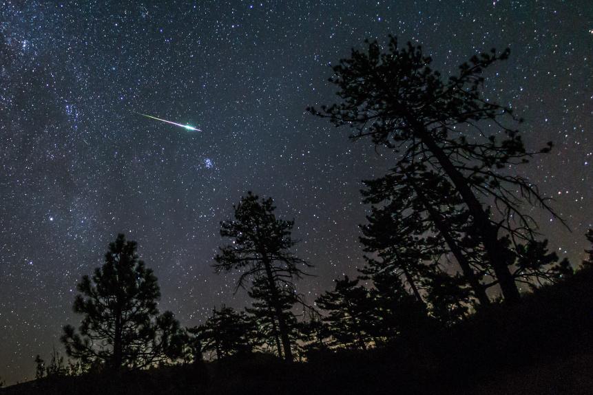 A meteor from the 2016 Perseid meteor shower streaks across the night sky above some pine trees in the Cleveland National Forest. Mount Laguna, San Diego County, California. USA
