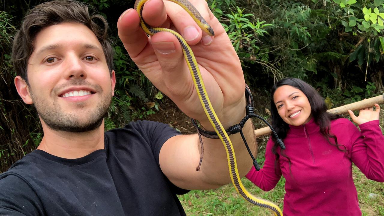 Playing Snake With A TV Remote