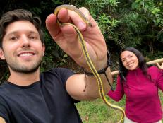 A team of scientists led by Alejandro Arteaga, grantee of The Explorers Club Discovery Expeditions and researcher at Khamai Foundation, discovered three new cryptozoic (living underground) snakes dwelling under graveyards and churches in remote towns in the Andes region of Ecuador.