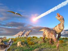 A new archeological discovery might be from the day of the big asteroid strike that took down the dinosaurs, bird goo is helping us understand airplane accidents, and find out about the most human-like robot finger you’ve ever seen.