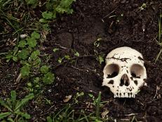 Archaeologists have unearthed an extremely unusual burial ritual to prevent a return from the dead.