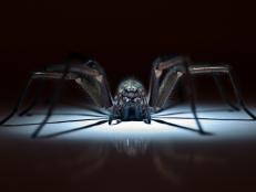 Researchers are making small claws out of dead spiders, dandelion seeds are inspiring scientists to mimic their distribution with small sensors to be able to better track ecological information, and the Dark Energy Spectroscopic Instrument is helping us create a 3D map of the universe.