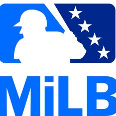 MiLB_Batterman_FullColor_LightBG